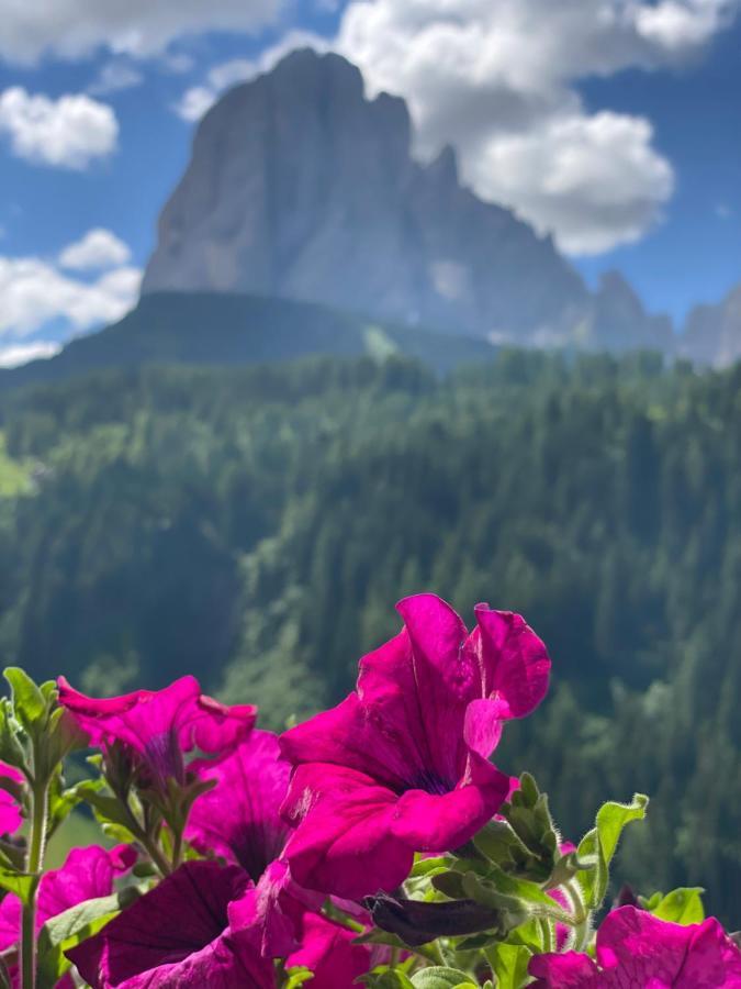 Dorfhotel Beludei Santa Cristina Val Gardena Dış mekan fotoğraf