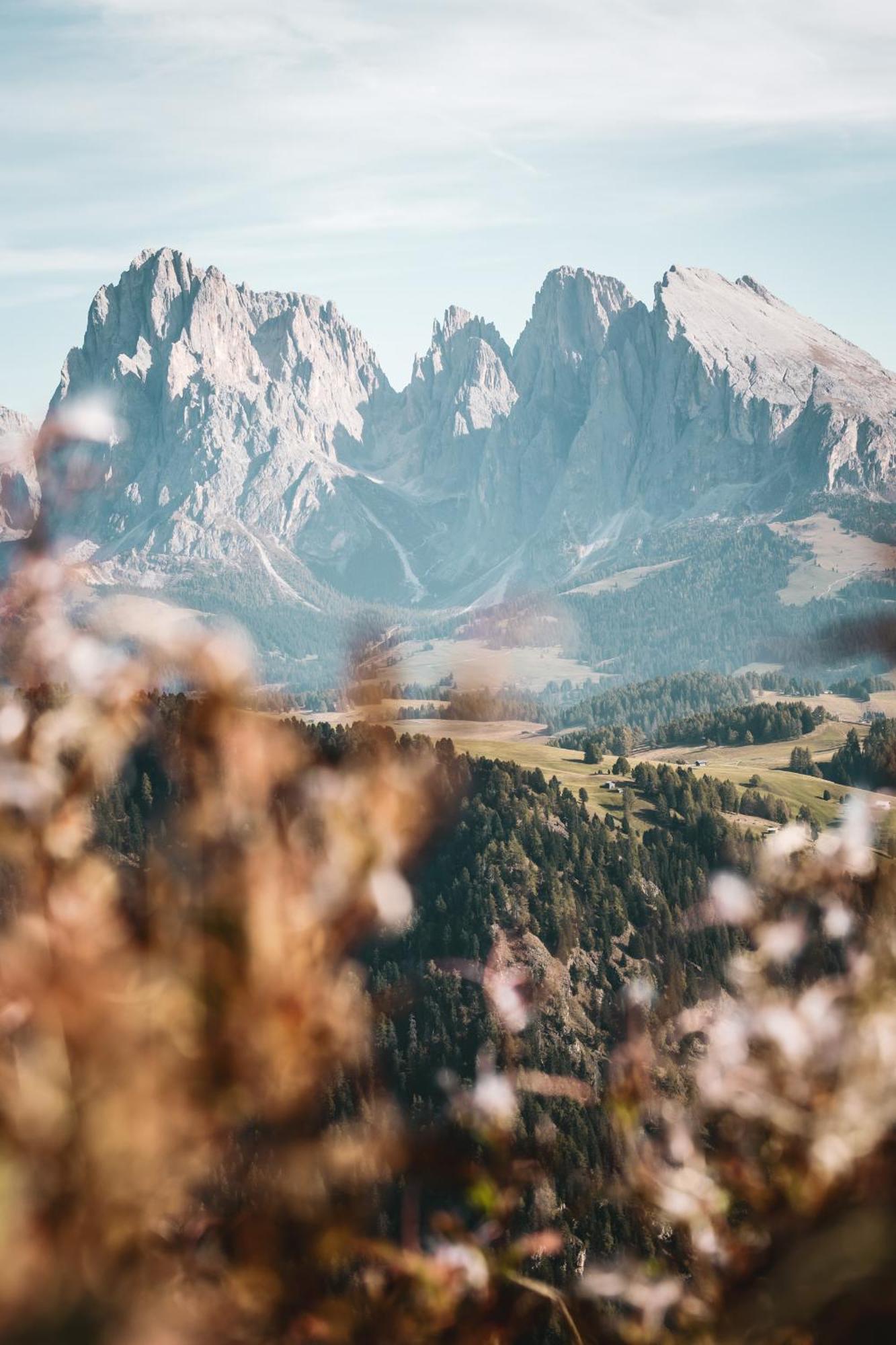 Dorfhotel Beludei Santa Cristina Val Gardena Dış mekan fotoğraf